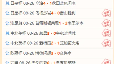 2026年一带一路足球盛宴：雅加达华人华商邀请赛精彩落幕